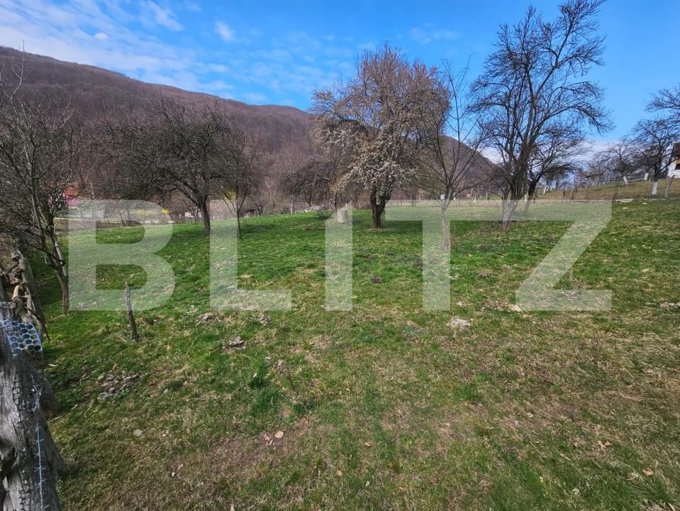 Teren de vânzare Cugir - 191297TV | BLITZ Alba Iulia | Poza2