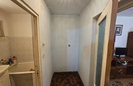 Apartament 2 camere, 37 mp, parter, balcon – oportunitate de investiție în Cugir