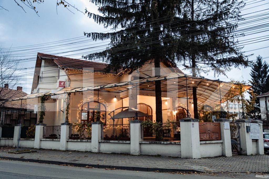 Spațiu comercial de închiriat Central - 191311SIC | BLITZ Alba Iulia | Poza8