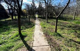 Casă de vânzare 7 camere, 300 mp utili, teren 839 mp, zonă centrală