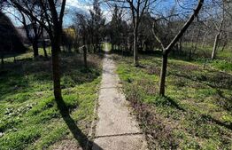 Casă de vânzare 7 camere, 300 mp utili, teren 839 mp, zonă centrală