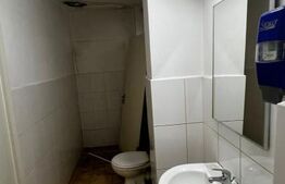 Spațiu comercial de vânzare, 150 mp utili, 500 mp teren, ultracentral