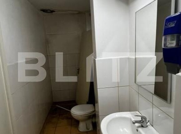 Casa de vânzare 7 camere Central - 191594CV | BLITZ Alba Iulia | Poza12