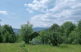 Teren intravilan de vânzare, 12000mp, Trâncești, Scărișoara