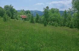 Teren intravilan de vânzare, 12000mp, Trâncești, Scărișoara