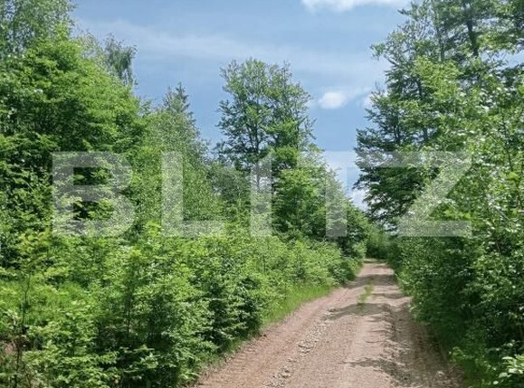 Teren de vânzare Scarisoara - 191668TV | BLITZ Alba Iulia | Poza8