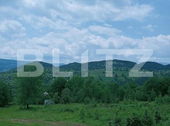 Teren de vânzare Scarisoara - 191668TV | BLITZ Alba Iulia | Poza5