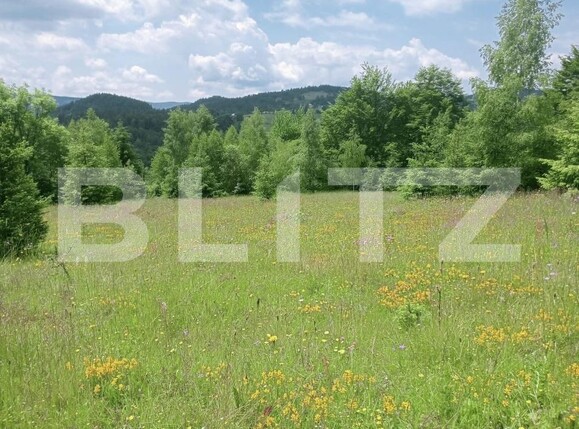 Teren de vânzare Scarisoara - 191668TV | BLITZ Alba Iulia | Poza1