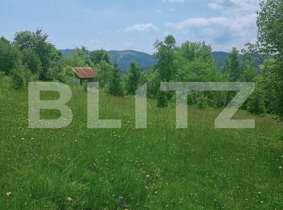 Teren de vânzare Scarisoara - 191668TV | BLITZ Alba Iulia | Poza5