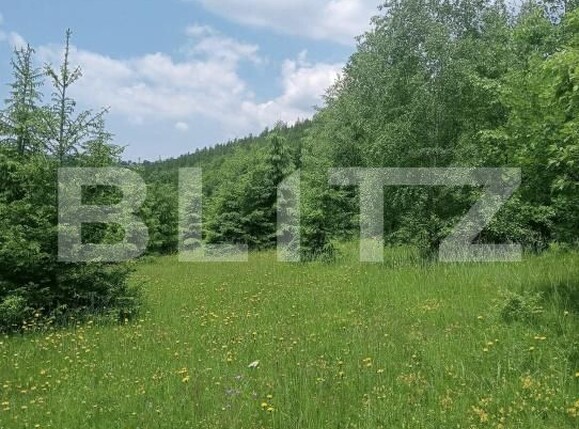 Teren de vânzare Scarisoara - 191668TV | BLITZ Alba Iulia | Poza2