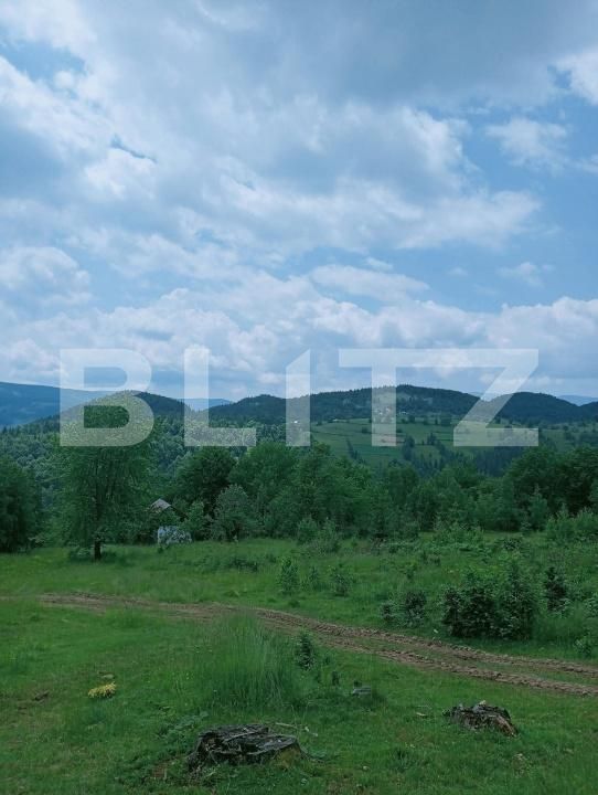 Teren de vânzare Scarisoara - 191668TV | BLITZ Alba Iulia | Poza5