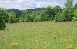 Teren intravilan de vânzare, 30.121 mp, Trâncești, Scărișoara