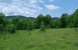 Teren de vânzare Exterior Nord - 184529TV | BLITZ Alba Iulia | Poza1