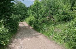 Teren intravilan de vânzare, 30.121 mp, Trâncești, Scărișoara