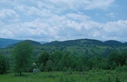 Teren intravilan de vânzare, 30.121 mp, Trâncești, Scărișoara