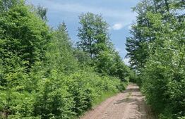 Teren intravilan de vânzare, 30.121 mp, Trâncești, Scărișoara