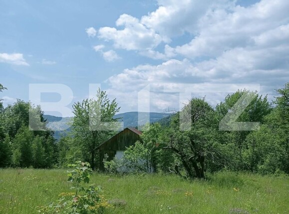 Teren de vânzare Scarisoara - 191669TV | BLITZ Alba Iulia | Poza4