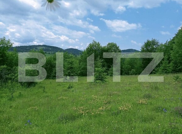 Teren de vânzare Scarisoara - 191669TV | BLITZ Alba Iulia | Poza1