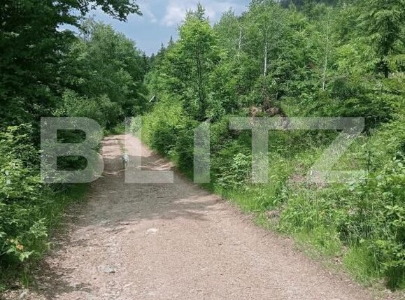 Teren de vânzare Scarisoara - 191669TV | BLITZ Alba Iulia | Poza7