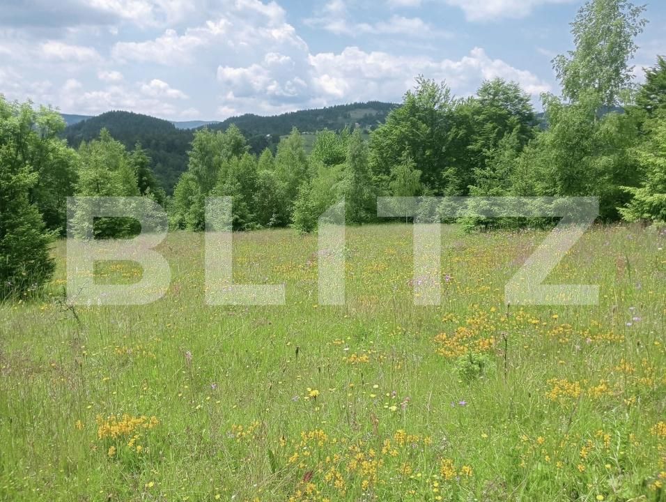 Teren de vânzare Scarisoara - 191669TV | BLITZ Alba Iulia | Poza5