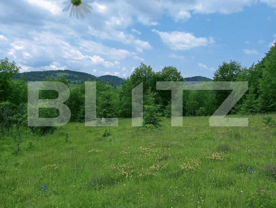 Teren de vânzare Scarisoara - 191669TV | BLITZ Alba Iulia | Poza3