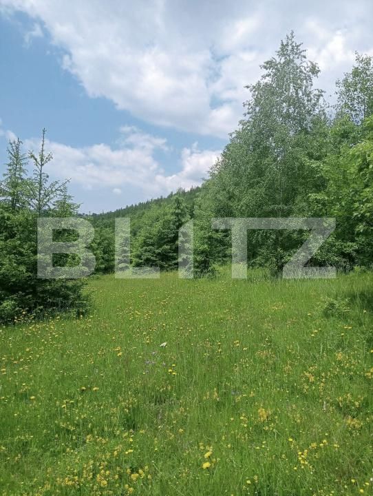 Teren de vânzare Scarisoara - 191669TV | BLITZ Alba Iulia | Poza6