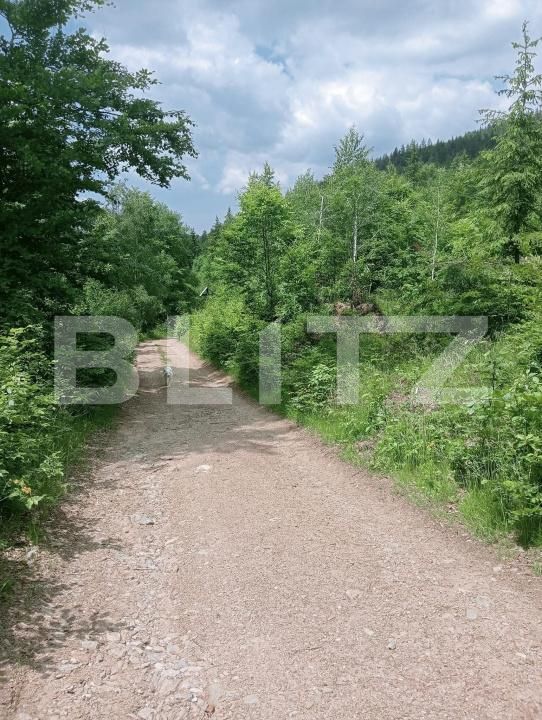 Teren de vânzare Scarisoara - 191669TV | BLITZ Alba Iulia | Poza7