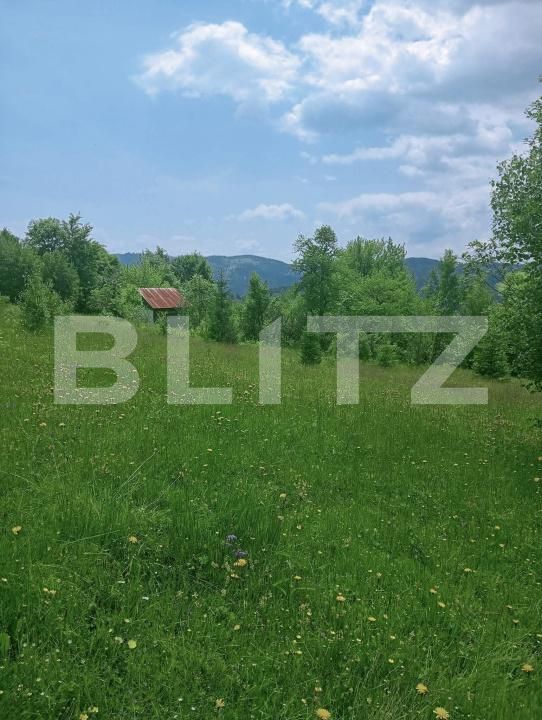 Teren de vânzare Scarisoara - 191669TV | BLITZ Alba Iulia | Poza2