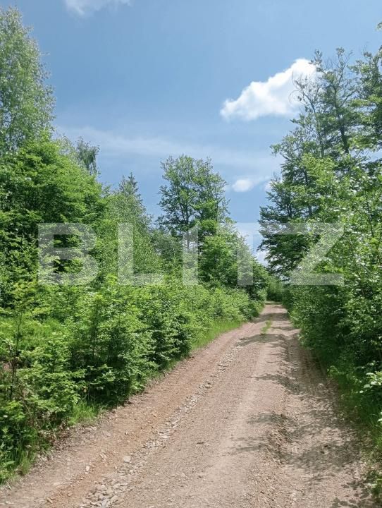 Teren de vânzare Scarisoara - 191669TV | BLITZ Alba Iulia | Poza8