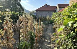 Casă de renovat 2 camere, zonă liniștită – Cugir