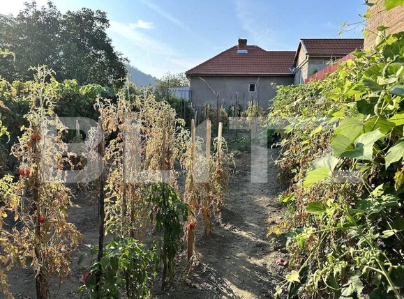 Casa de vânzare 2 camere Cugir - 191670CV | BLITZ Alba Iulia | Poza4
