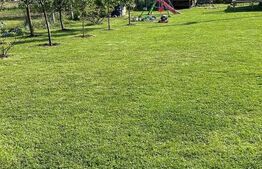 Teren cu cabană și pomi fructiferi, Ampoi 2