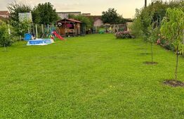 Teren cu cabană și pomi fructiferi, Ampoi 2