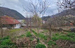 Casă spațioasă cu 4 camere, bucătărie de vară și teren, Cugir