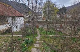 Casă spațioasă cu 4 camere, bucătărie de vară și teren, Cugir