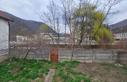 Casă spațioasă cu 4 camere, bucătărie de vară și teren, Cugir