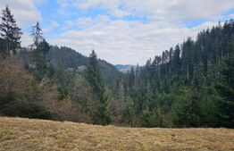 Teren 22.267 mp (intravilan + extravilan) cu construcție, Trâncești, Scărișoara