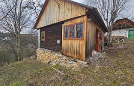 Teren 22.267 mp (intravilan + extravilan) cu construcție, Trâncești, Scărișoara