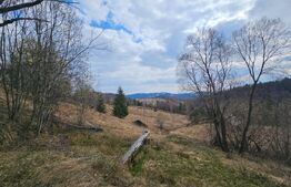 Teren de vânzare Micești - 182472TV | BLITZ Alba Iulia | Poza1