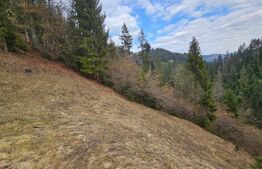 Teren 22.267 mp (intravilan + extravilan) cu construcție, Trâncești, Scărișoara