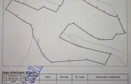 Teren 22.267 mp (intravilan + extravilan) cu construcție, Trâncești, Scărișoara