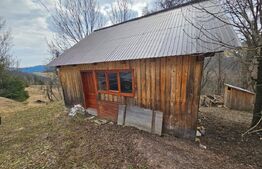 Teren 22.267 mp (intravilan + extravilan) cu construcție, Trâncești, Scărișoara