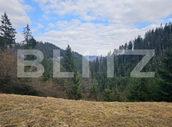 Teren de vânzare Scarisoara - 191920TV | BLITZ Alba Iulia | Poza2