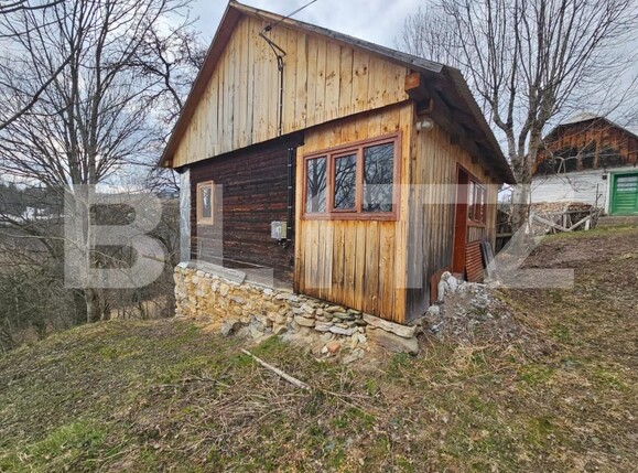 Teren de vânzare Scarisoara - 191920TV | BLITZ Alba Iulia | Poza5