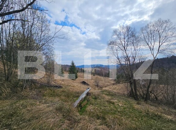 Teren de vânzare Scarisoara - 191920TV | BLITZ Alba Iulia | Poza1