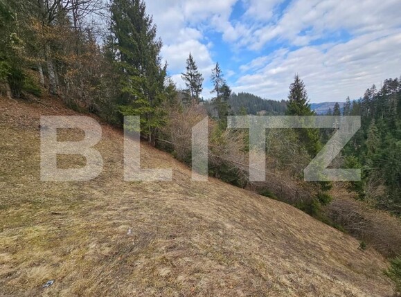 Teren de vânzare Scarisoara - 191920TV | BLITZ Alba Iulia | Poza3