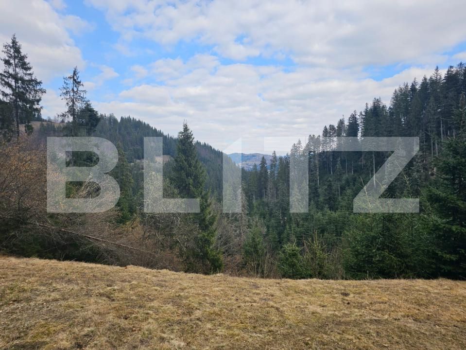 Teren de vânzare Scarisoara - 191920TV | BLITZ Alba Iulia | Poza2
