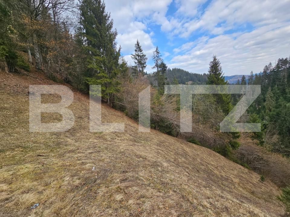 Teren de vânzare Scarisoara - 191920TV | BLITZ Alba Iulia | Poza3