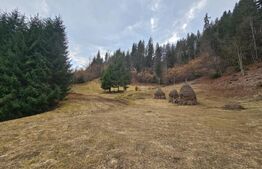 Teren extravilan 11.480 mp cu potențial intravilan – Trâncești, Scărișoara