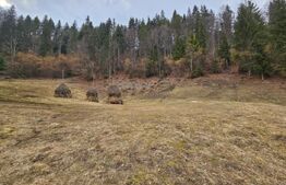 Teren extravilan 11.480 mp cu potențial intravilan – Trâncești, Scărișoara